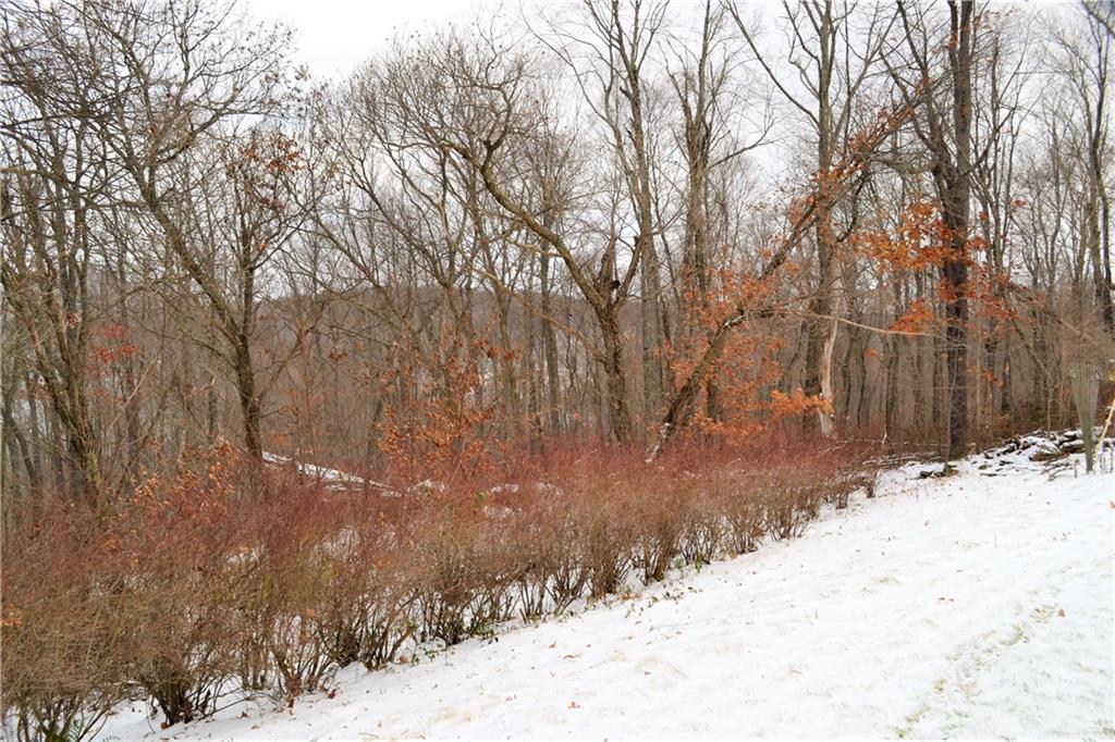 291 Fresh Road Rockwood, PA 15557 - Photo 24 of 25 Gallery Image 24