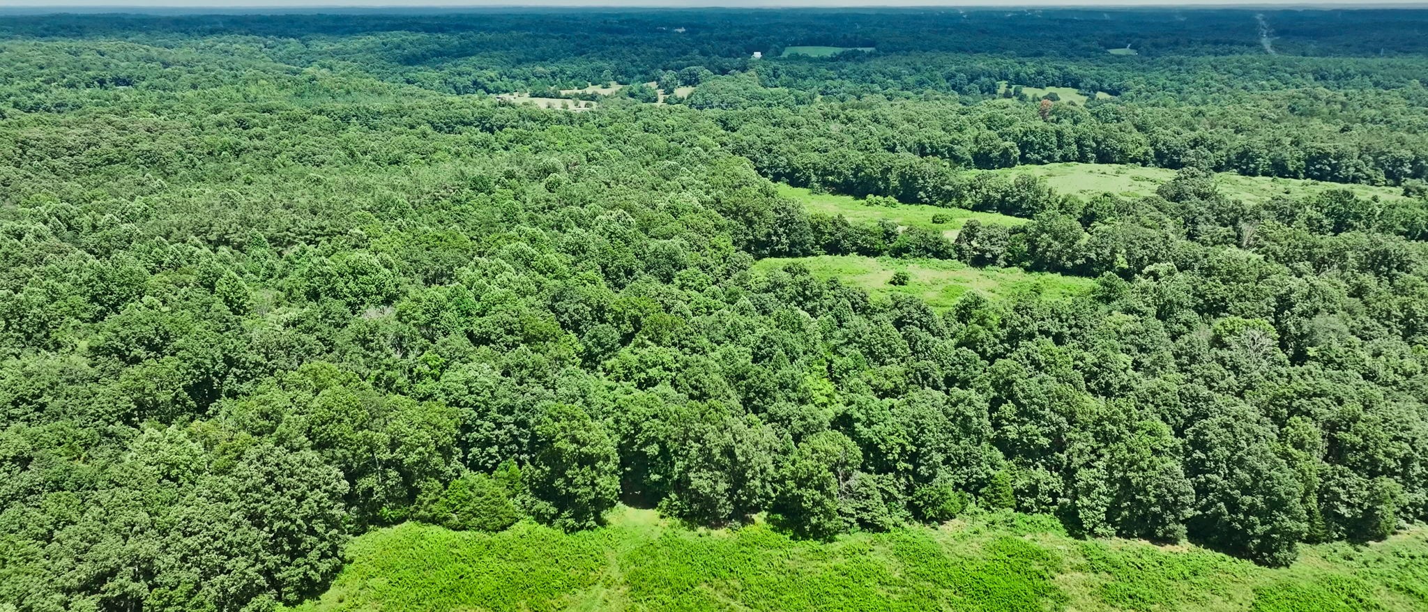 0 Barren Fork Bridge Road Bon Aqua, TN 37025 - Photo 19 of 28