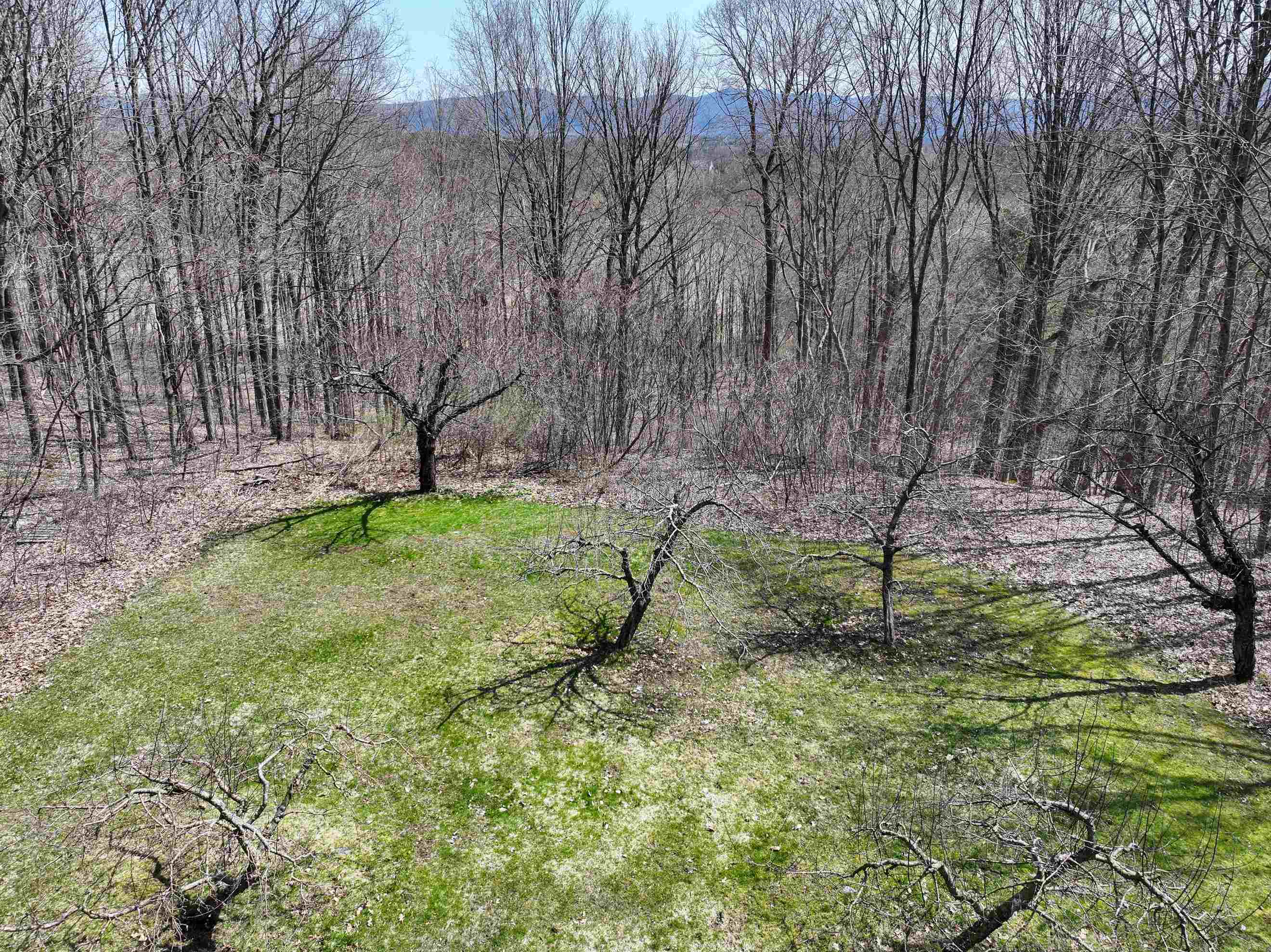 394 Cider Mill Road Cornwall, VT 05753 - Photo 37 of 39