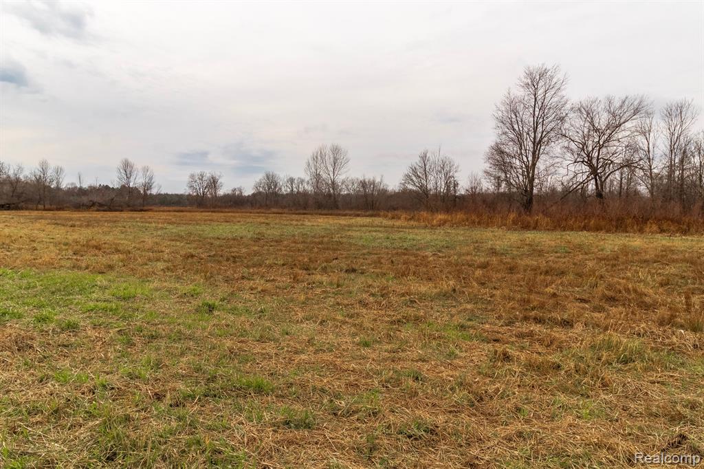 Vl Roods Lake Road Lapeer, MI 48446 - Photo 3 of 9