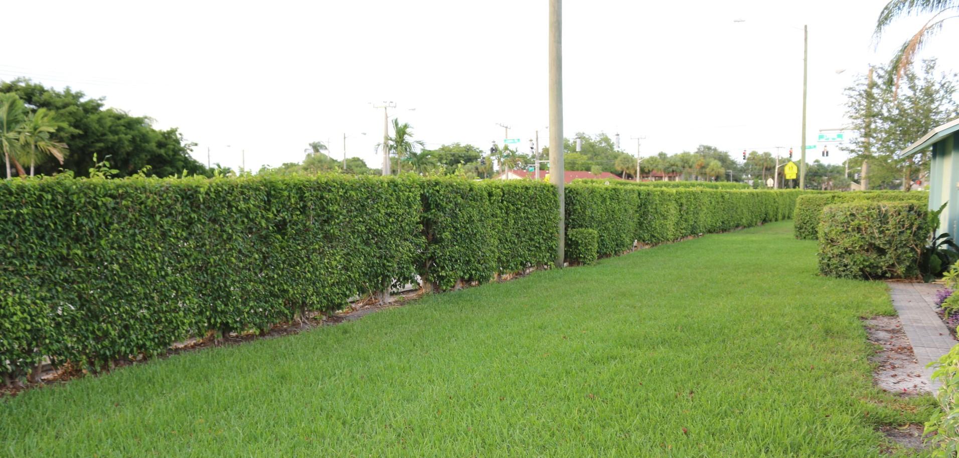 9085 Southwest 20th Street, Unit E Boca Raton, FL 33428 - Photo 38 of 38 38