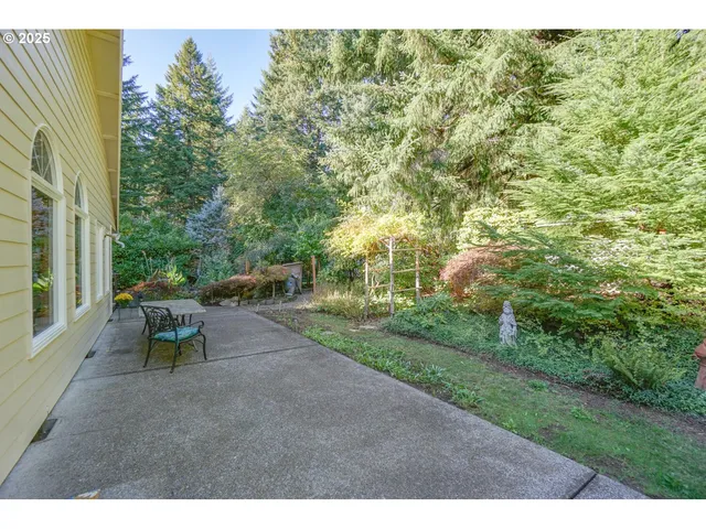a view of a garden with plants and large trees
