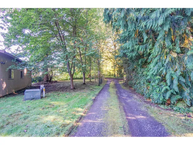 a view of a yard with an trees