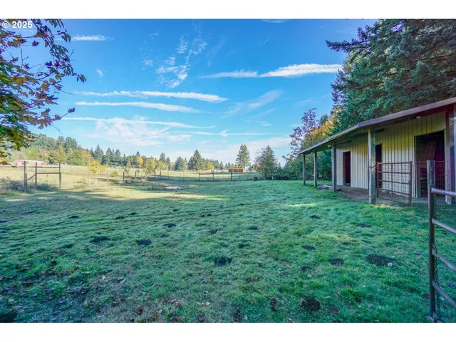 a view of yard with swimming pool and green space