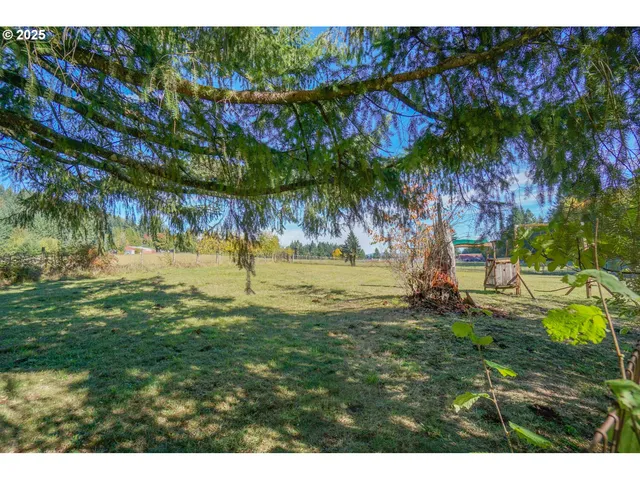 a view of a backyard with large trees
