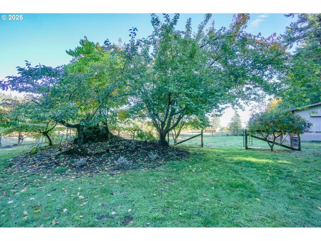 a view of outdoor space and yard