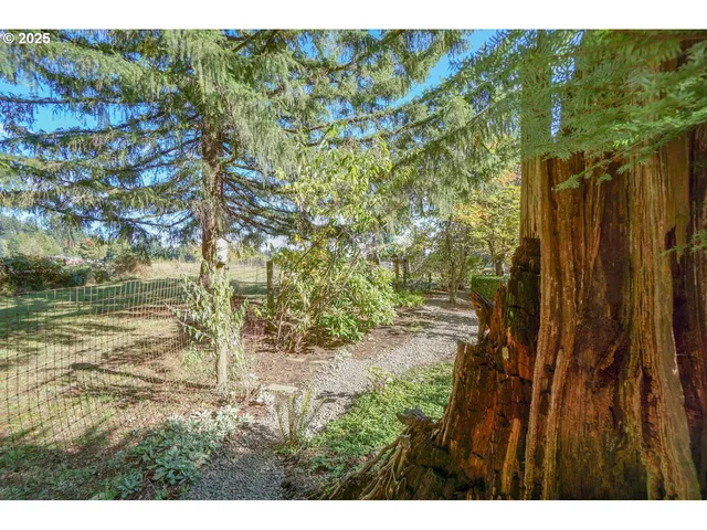 a garden view with a garden