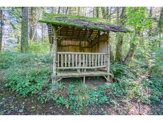a view of a yard with a tree