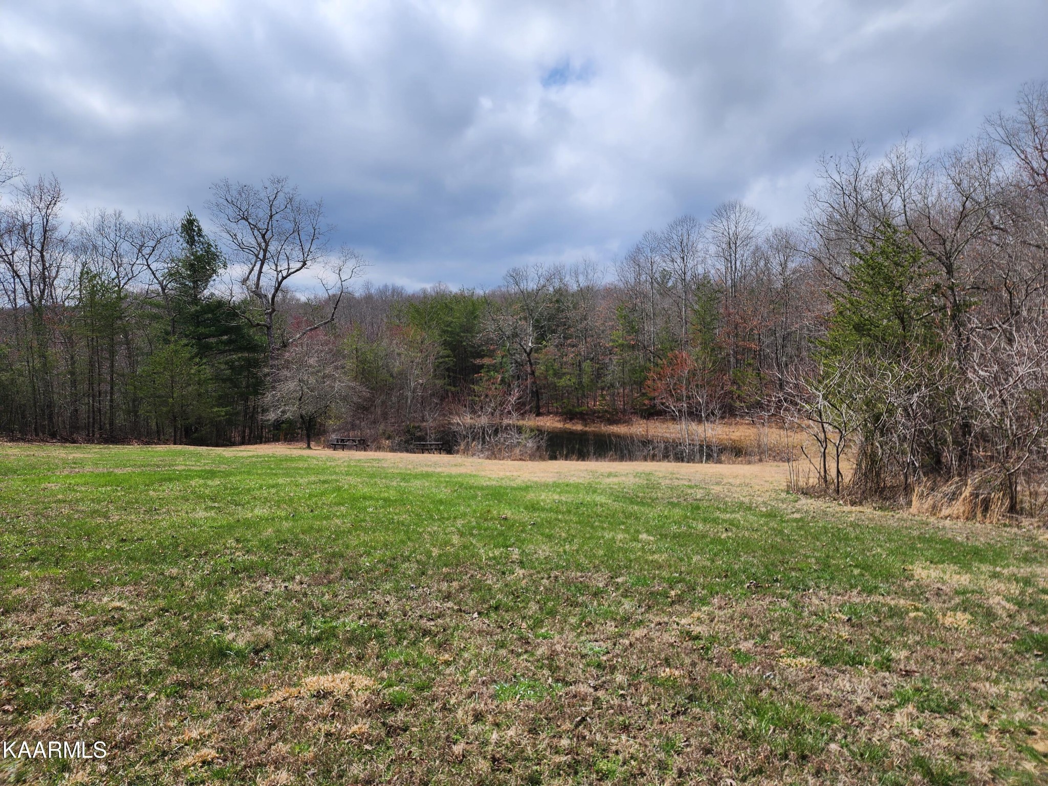 215 Hensley Road Deer Lodge, TN 37726 - Photo 11 of 29 Gallery Image 11