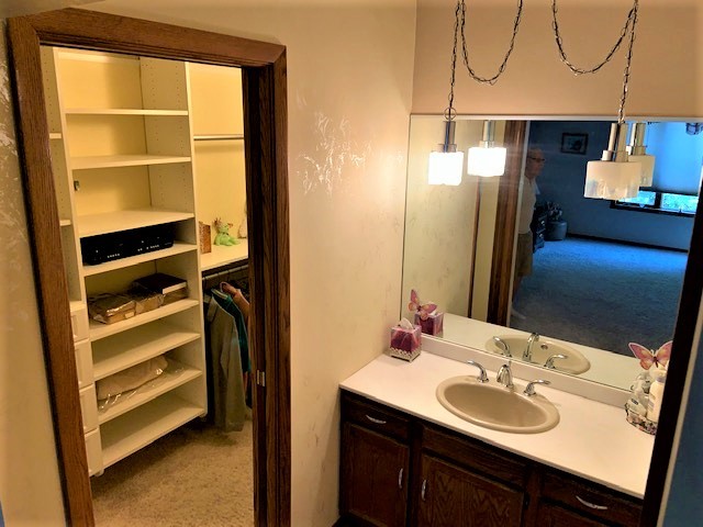 180 West Richton Road, Unit 103 Crete, IL 60417 - Photo 14 of 25 a bathroom with a sink and a mirror