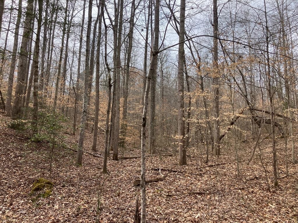 213 Wynn Ferry Road Big Sandy, TN 38221 - Photo 11 of 11