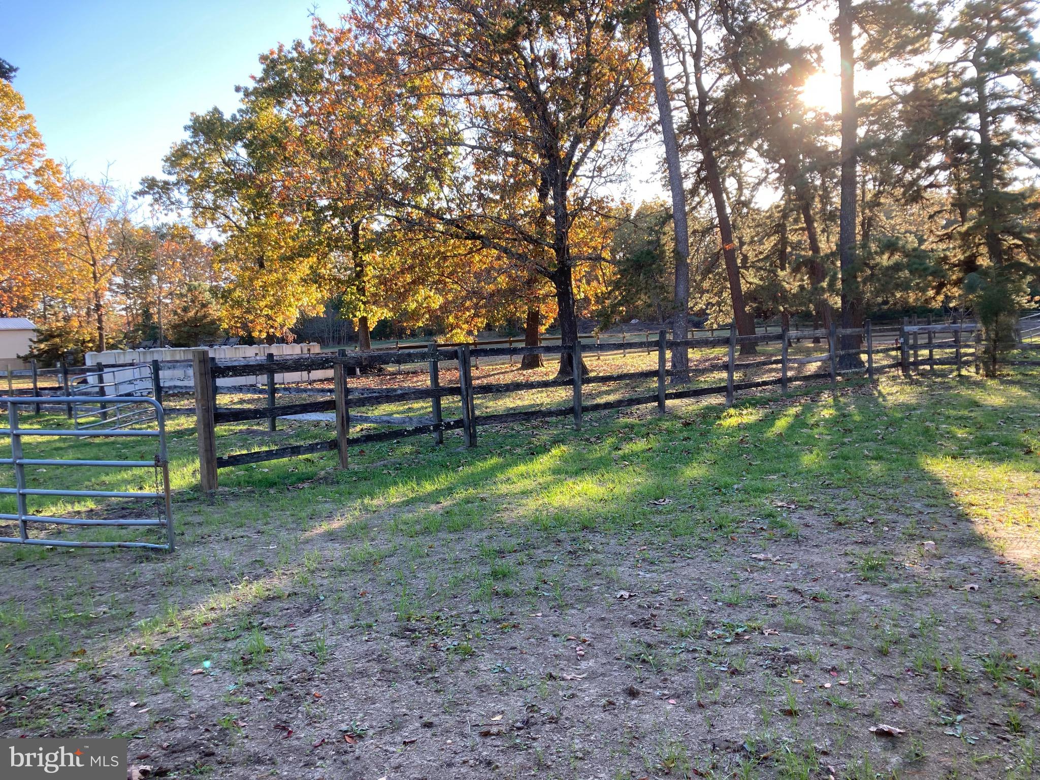 324 Atsion Road Shamong, NJ 08088 - Photo 17 of 67 pasture #2