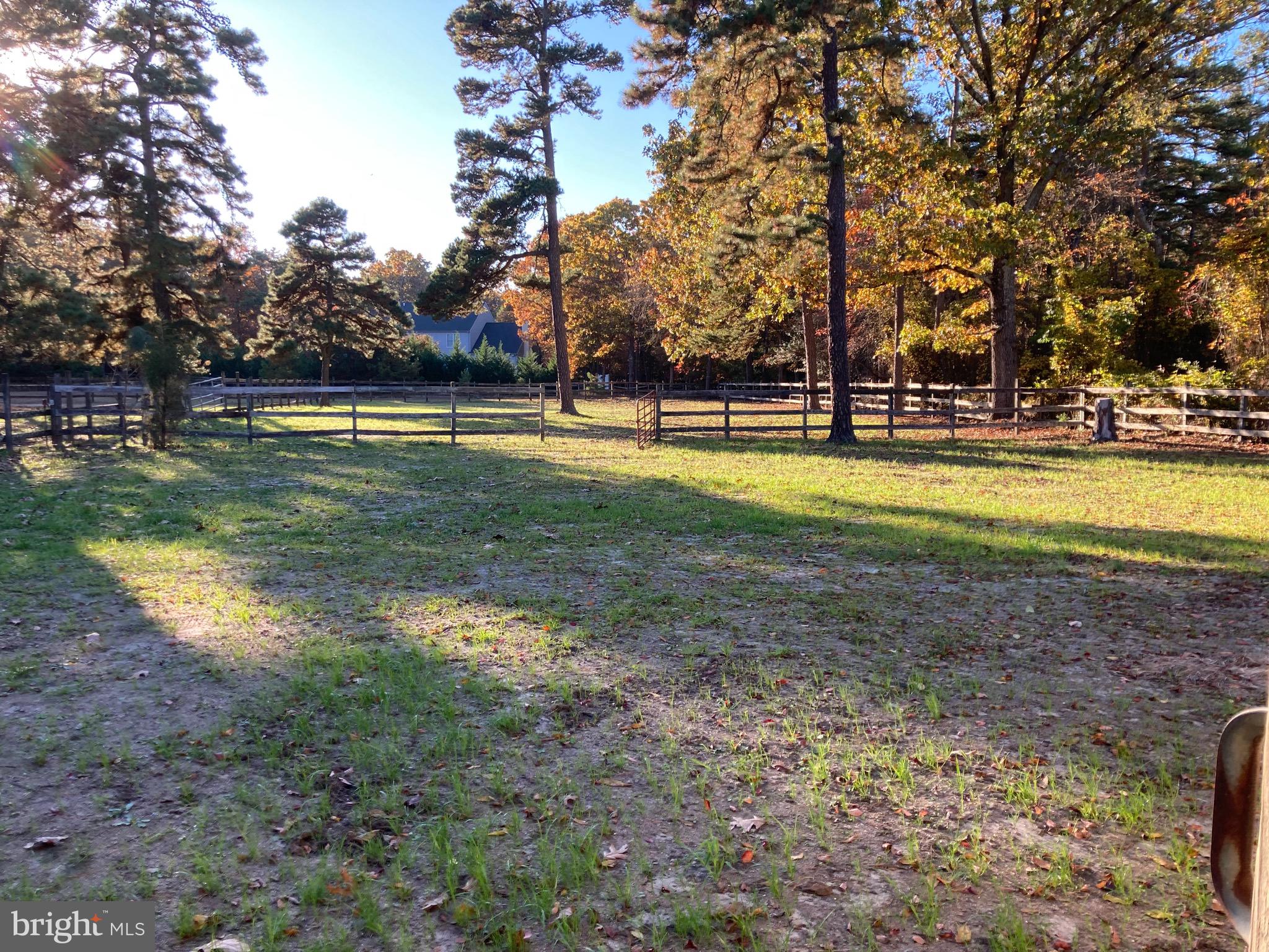 324 Atsion Road Shamong, NJ 08088 - Photo 18 of 67 pasture 3