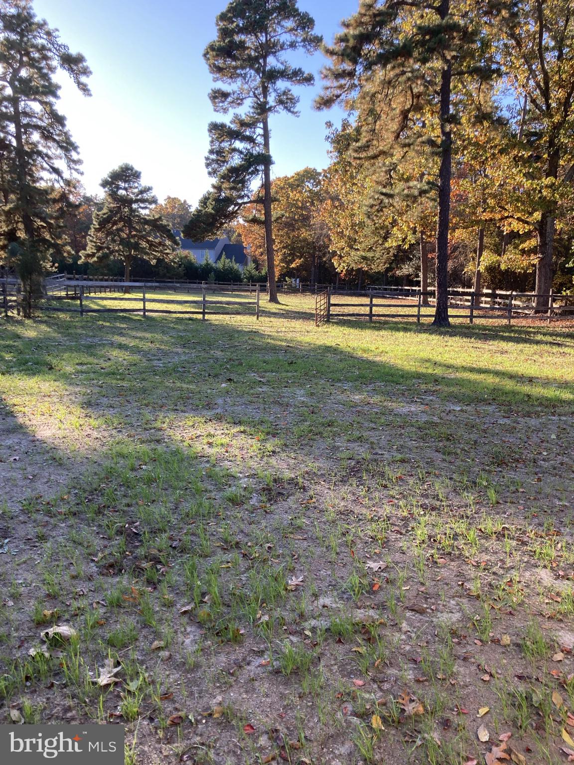 324 Atsion Road Shamong, NJ 08088 - Photo 19 of 67 pasture #3