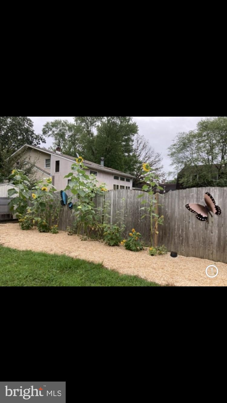 324 Atsion Road Shamong, NJ 08088 - Photo 42 of 67 sunflower garden at pool fence & generator shed