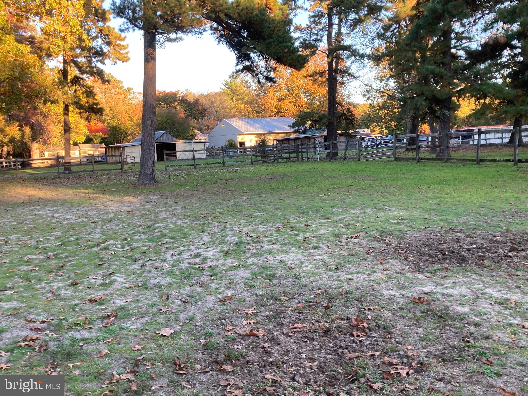324 Atsion Road Shamong, NJ 08088 - Photo 6 of 67 view of barns from back paddock .#3