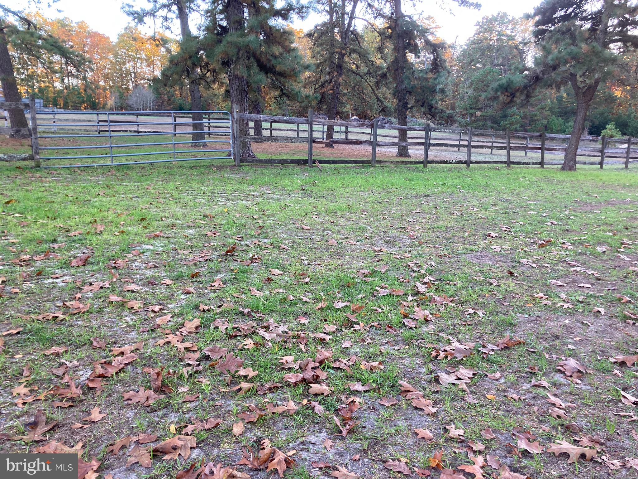 324 Atsion Road Shamong, NJ 08088 - Photo 7 of 67 view of big paddocks