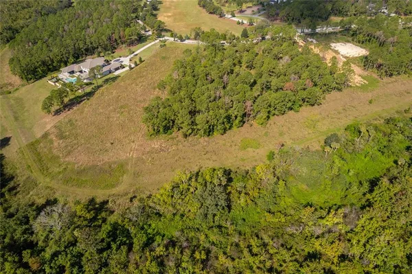 a view of a flower garden