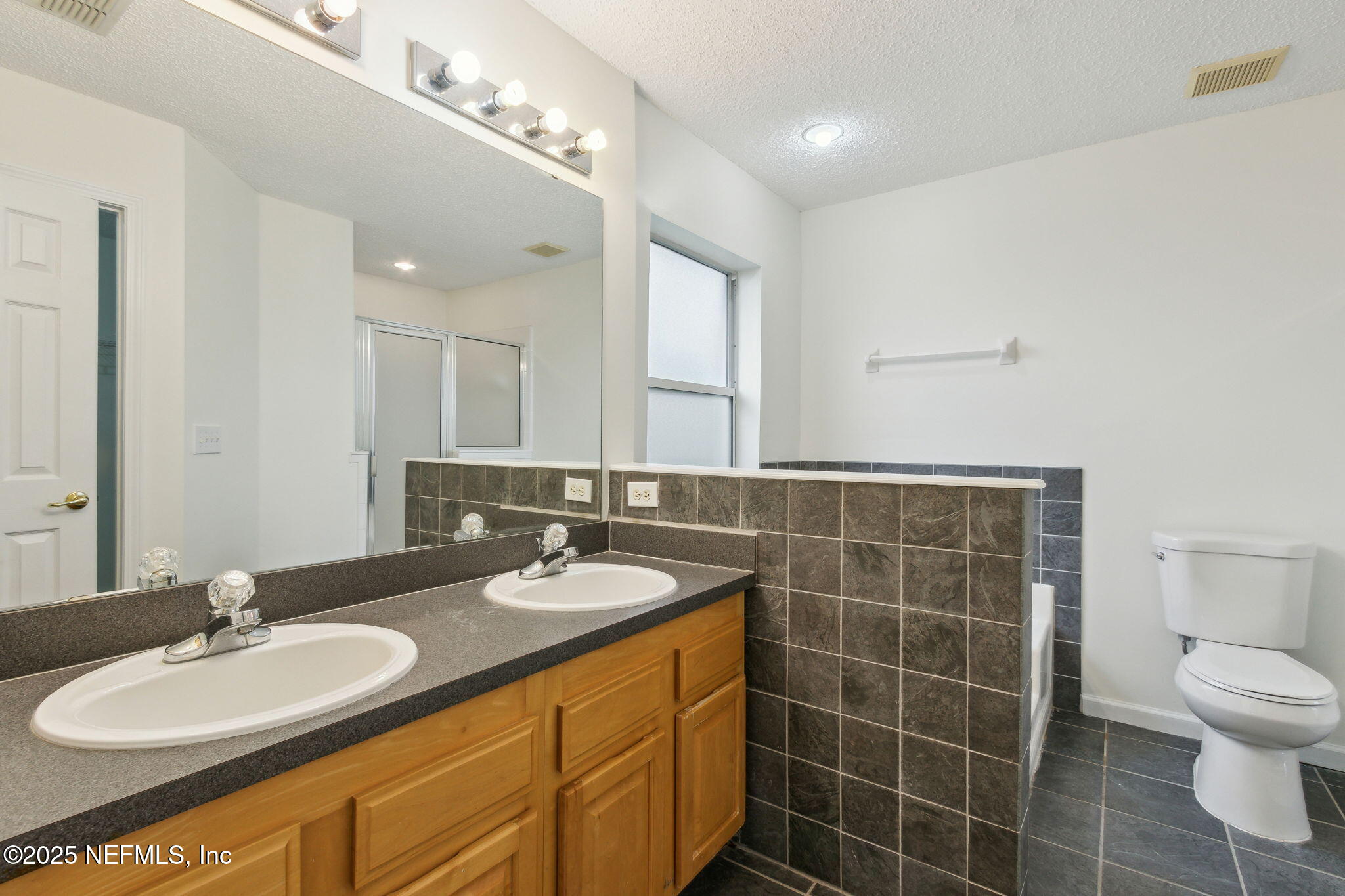 2005 Frogmore Drive Middleburg, FL 32068 - Photo 31 of 43 a bathroom with a double vanity sink mirror and