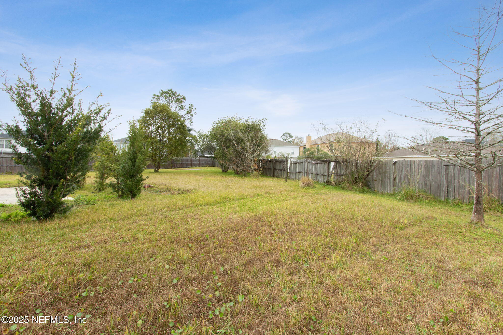 2005 Frogmore Drive Middleburg, FL 32068 - Photo 42 of 43 a view of a field with trees in the background