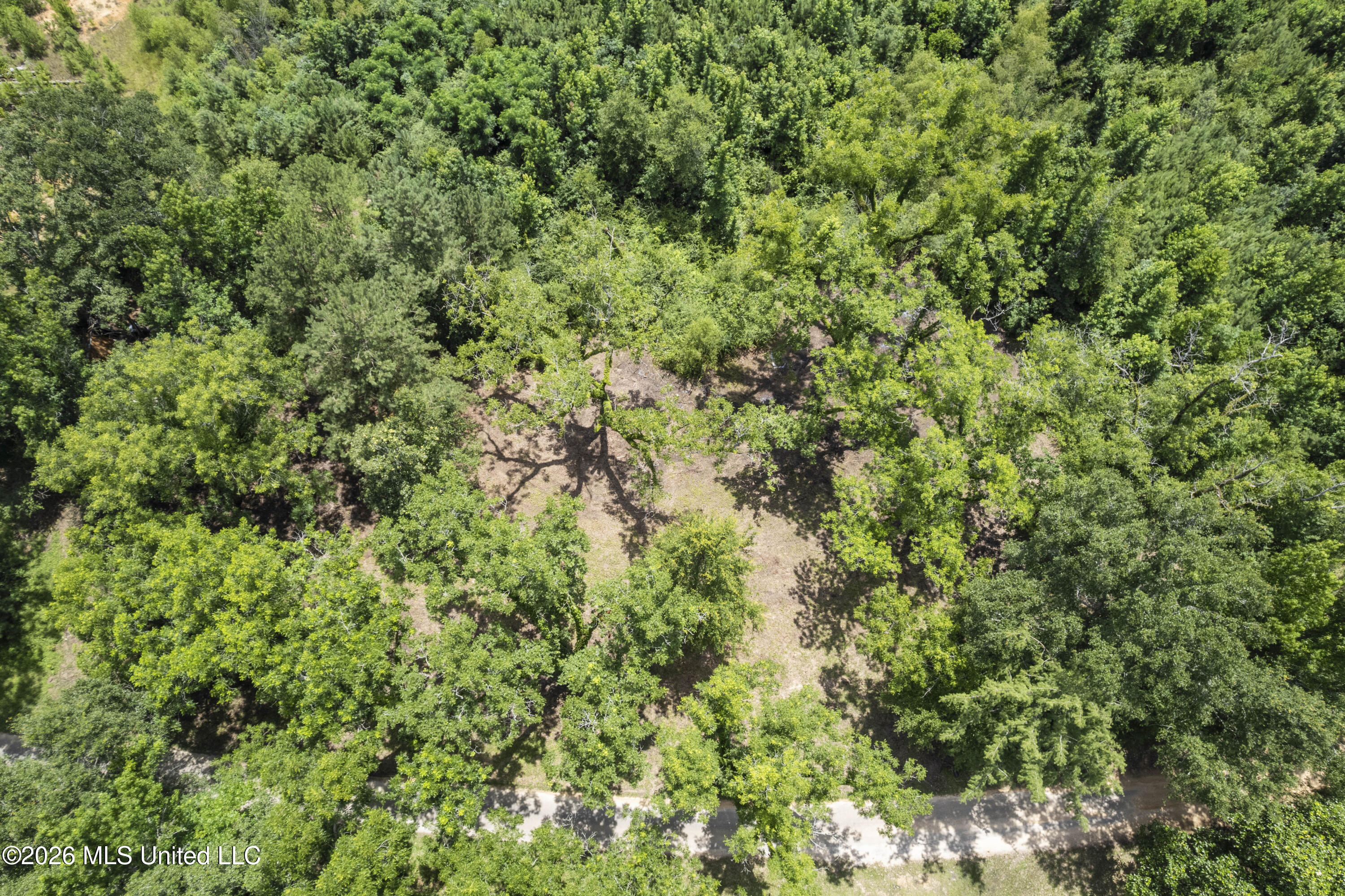 13 Co Road Louin, MS 39338 - Photo 14 of 29 DJI_0294