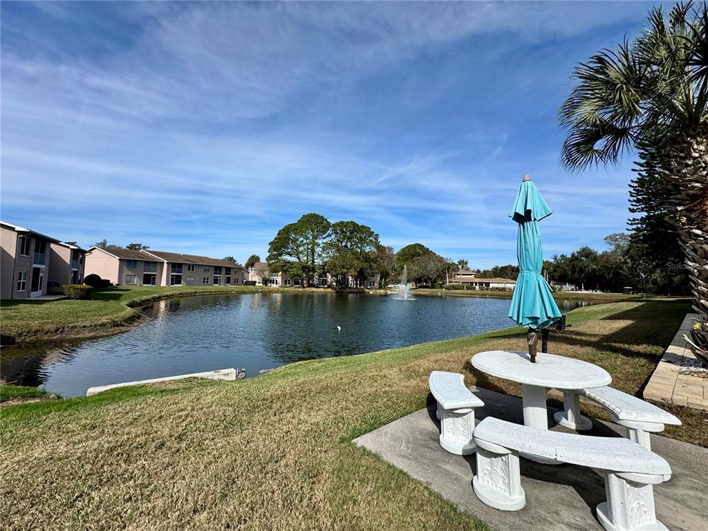 6527 Spring Flower Drive, Unit 21 New Port Richey, FL 34653 - Photo 18 of 21