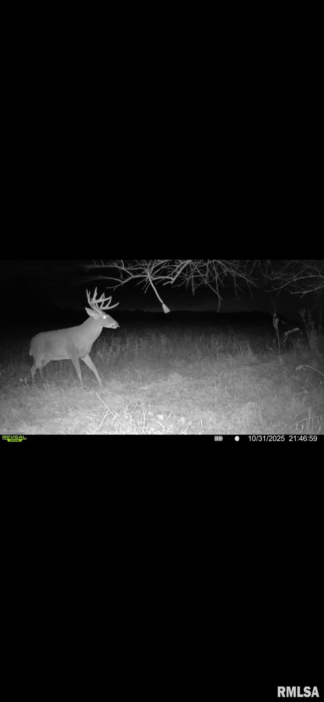 1401 Hickory Grove Road Lacon, IL 61540 - Photo 12 of 12
