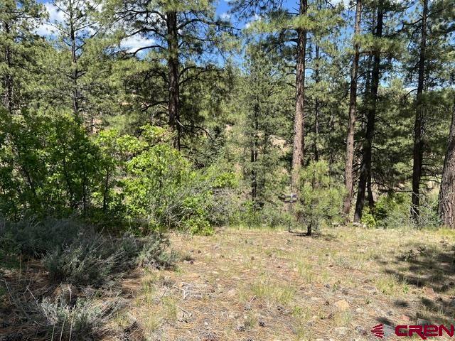 250 Copper Rim Trail Durango, CO 81301 - Photo 10 of 11