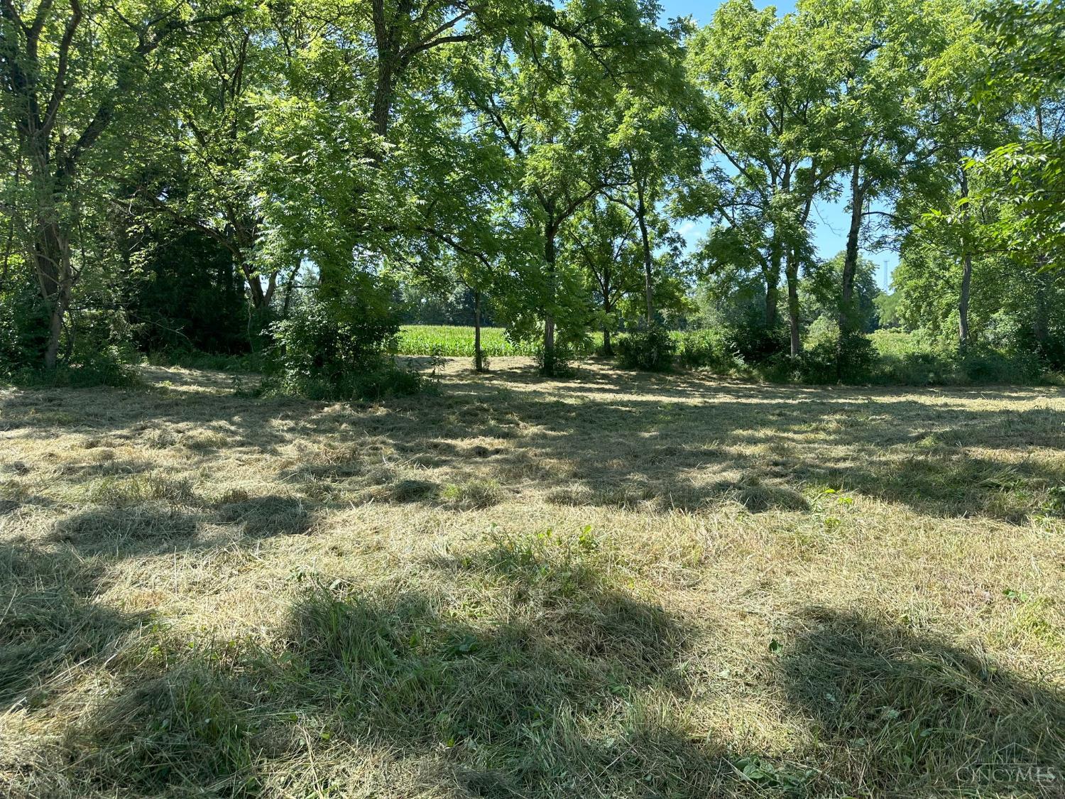 625 Branscome Road Peebles, OH 45660 - Photo 4 of 55