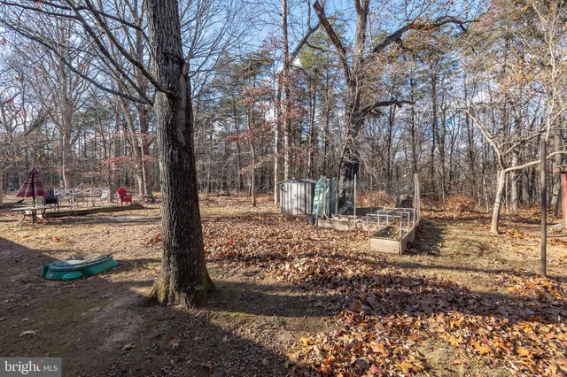 a view of a yard with a tree