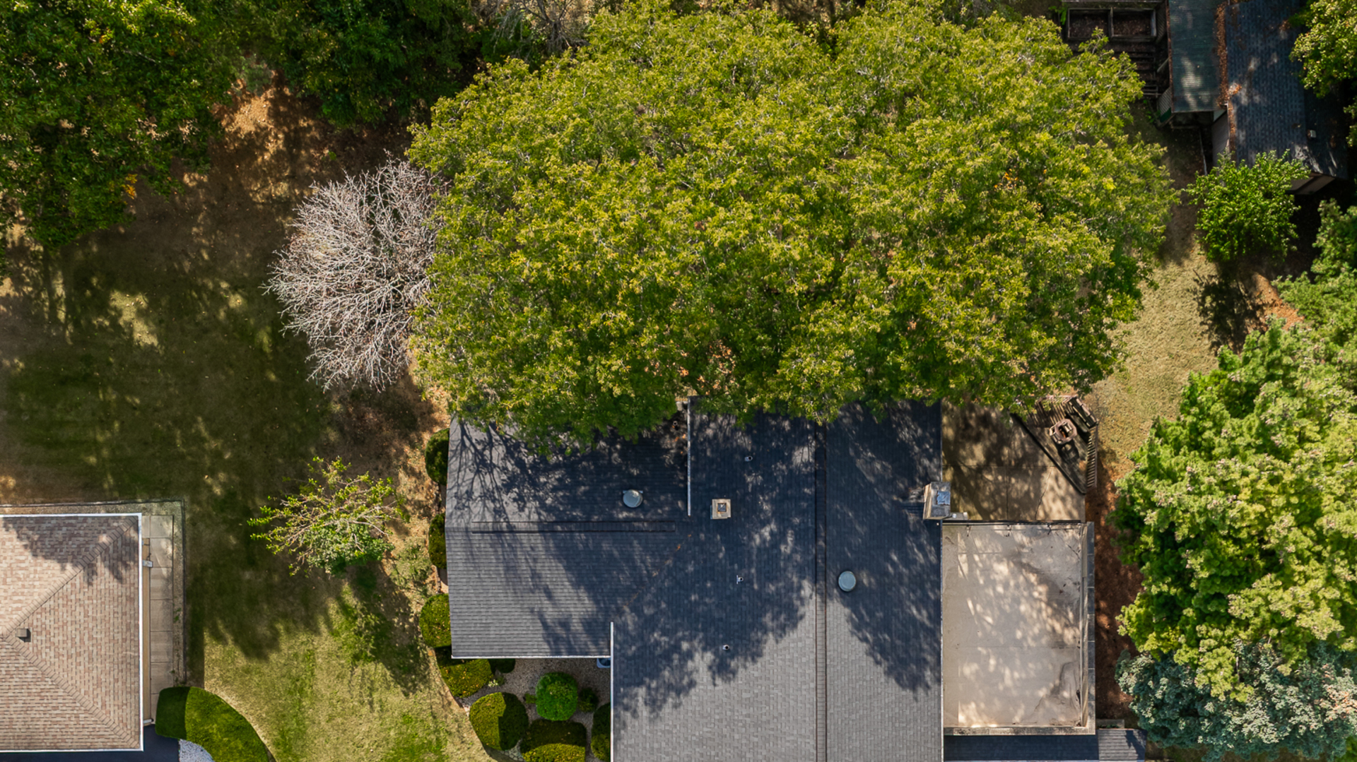 11716 Center Drive Lemont, IL 60439 - Photo 6 of 6 a view of a house with a tree