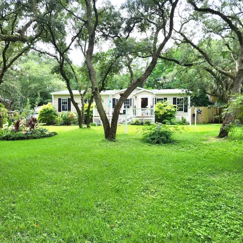 a garden with trees in front of it