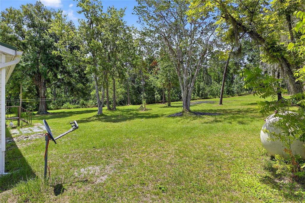 6250 Green Pond Road Polk City, FL 33868 - Photo 62 of 96