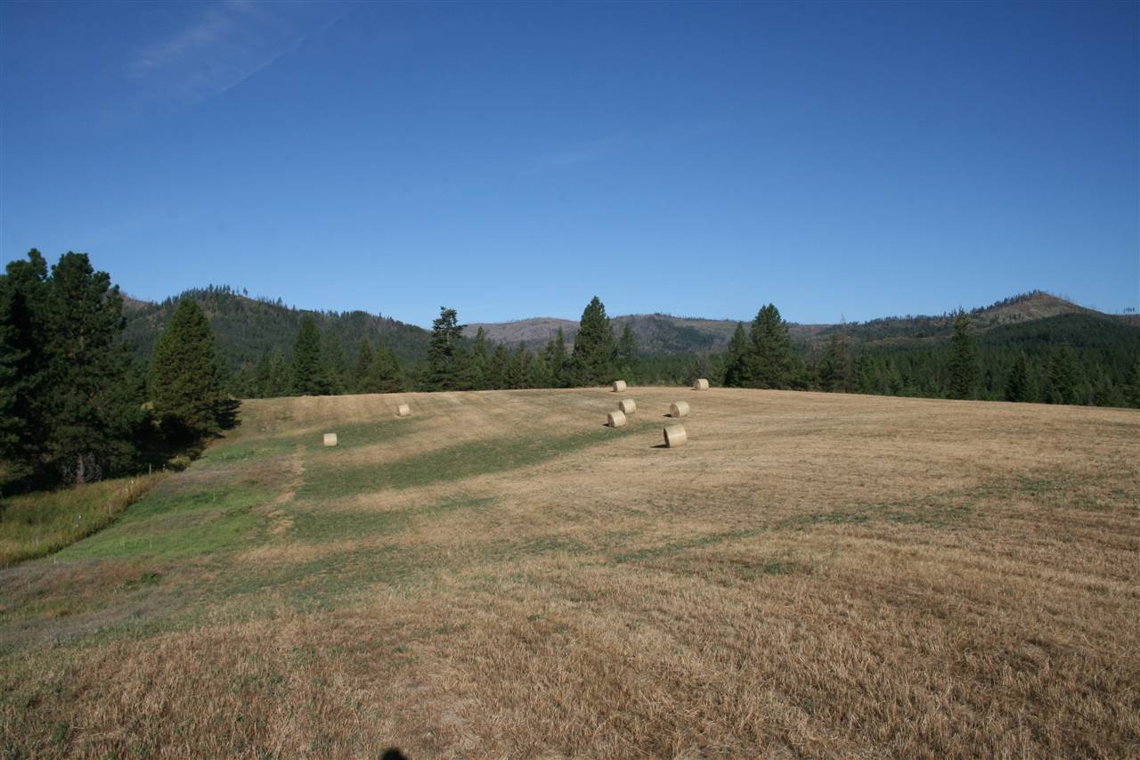 Xxx Olinger Road Springdale, WA 99173 - Photo 1 of 1