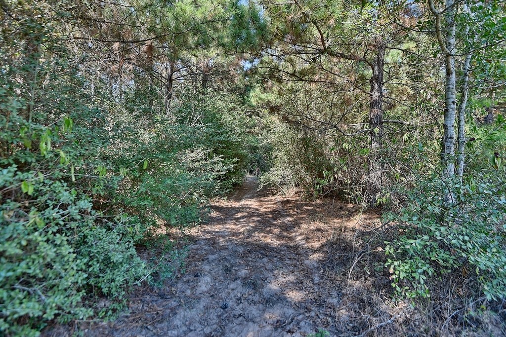 28850 Riley Road Waller, TX 77484 - Photo 23 of 23