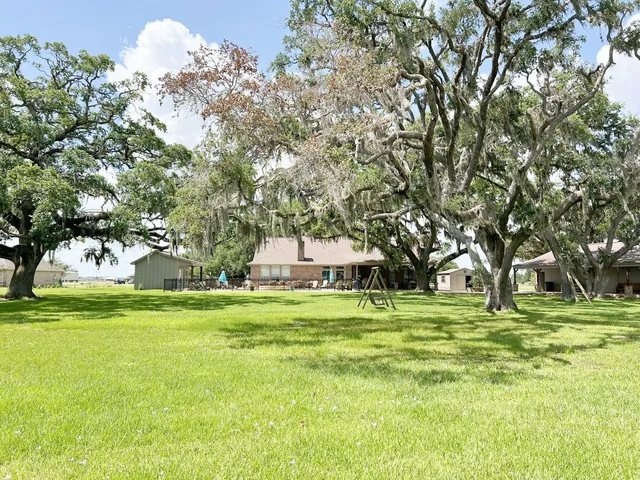 a big yard with trees