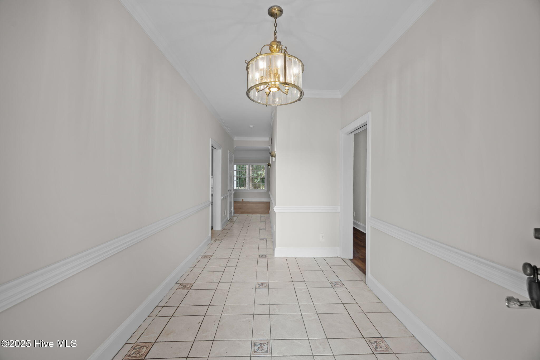 7464 Highway 43 Macclesfield, NC 27852 - Photo 6 of 76 6-web-or-mls-BLS_0003