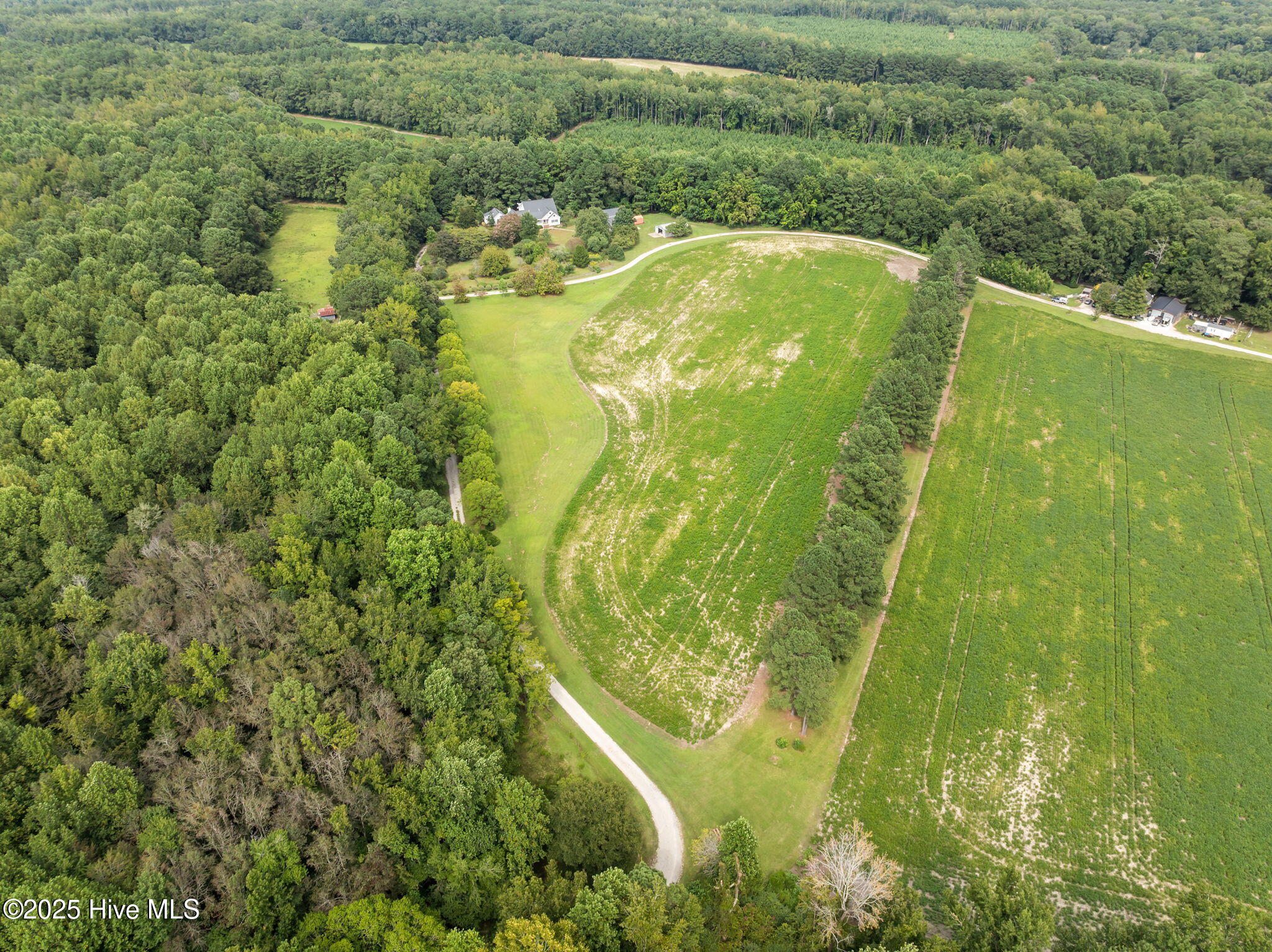 7464 Highway 43 Macclesfield, NC 27852 - Photo 70 of 76 70-web-or-mls-DJI_0885