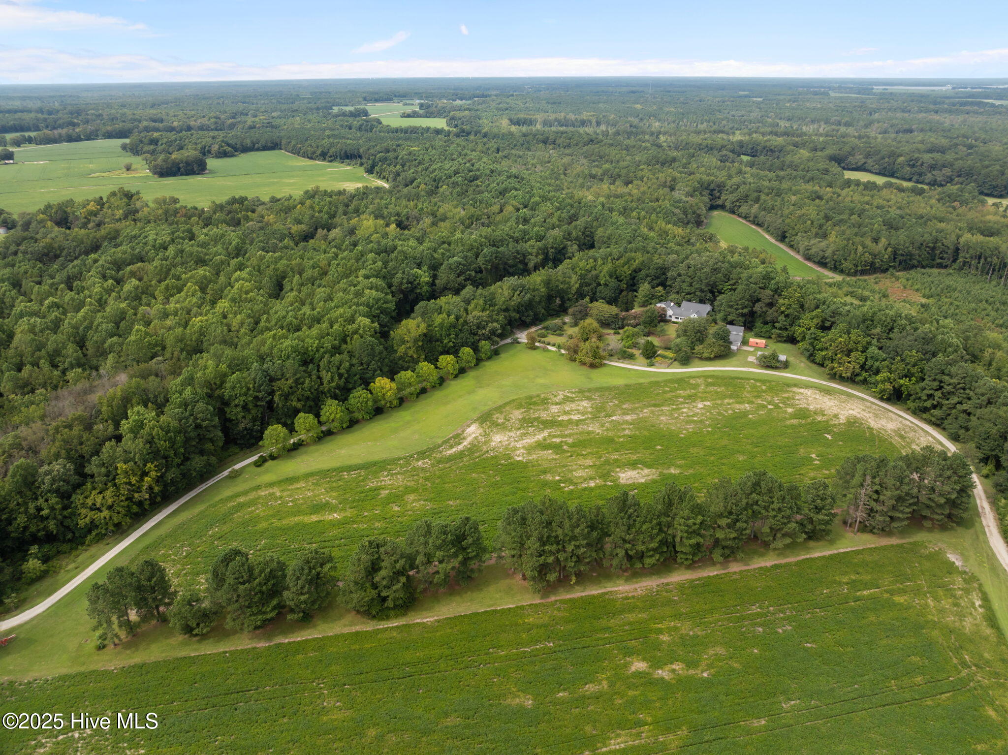 7464 Highway 43 Macclesfield, NC 27852 - Photo 71 of 76 71-web-or-mls-DJI_0886