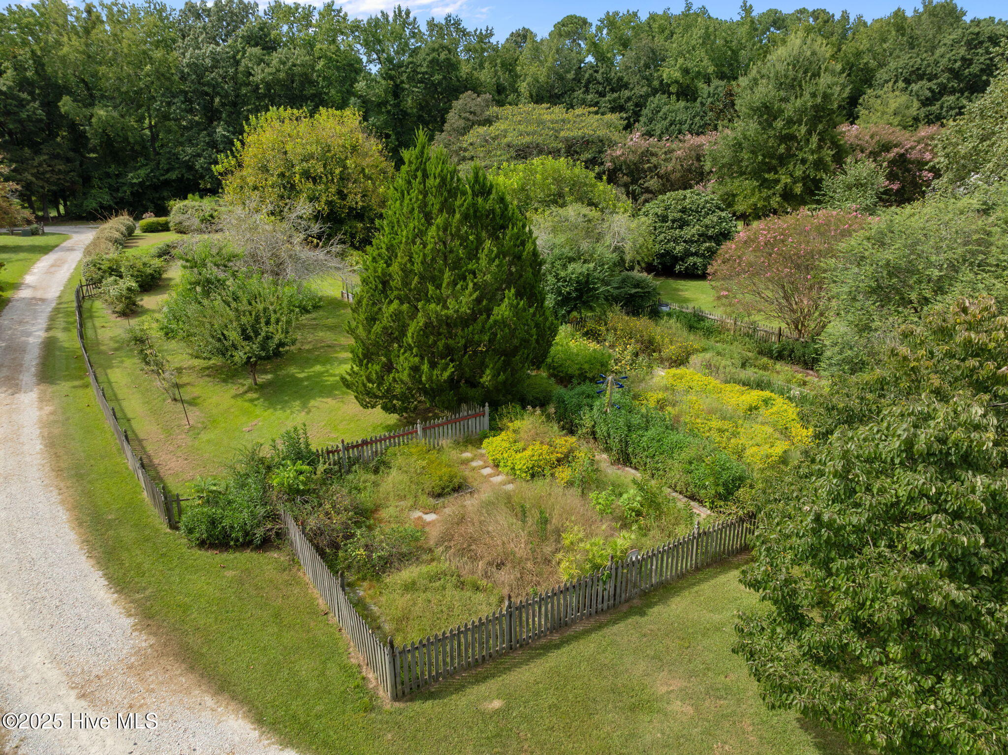 7464 Highway 43 Macclesfield, NC 27852 - Photo 72 of 76 72-web-or-mls-DJI_0888