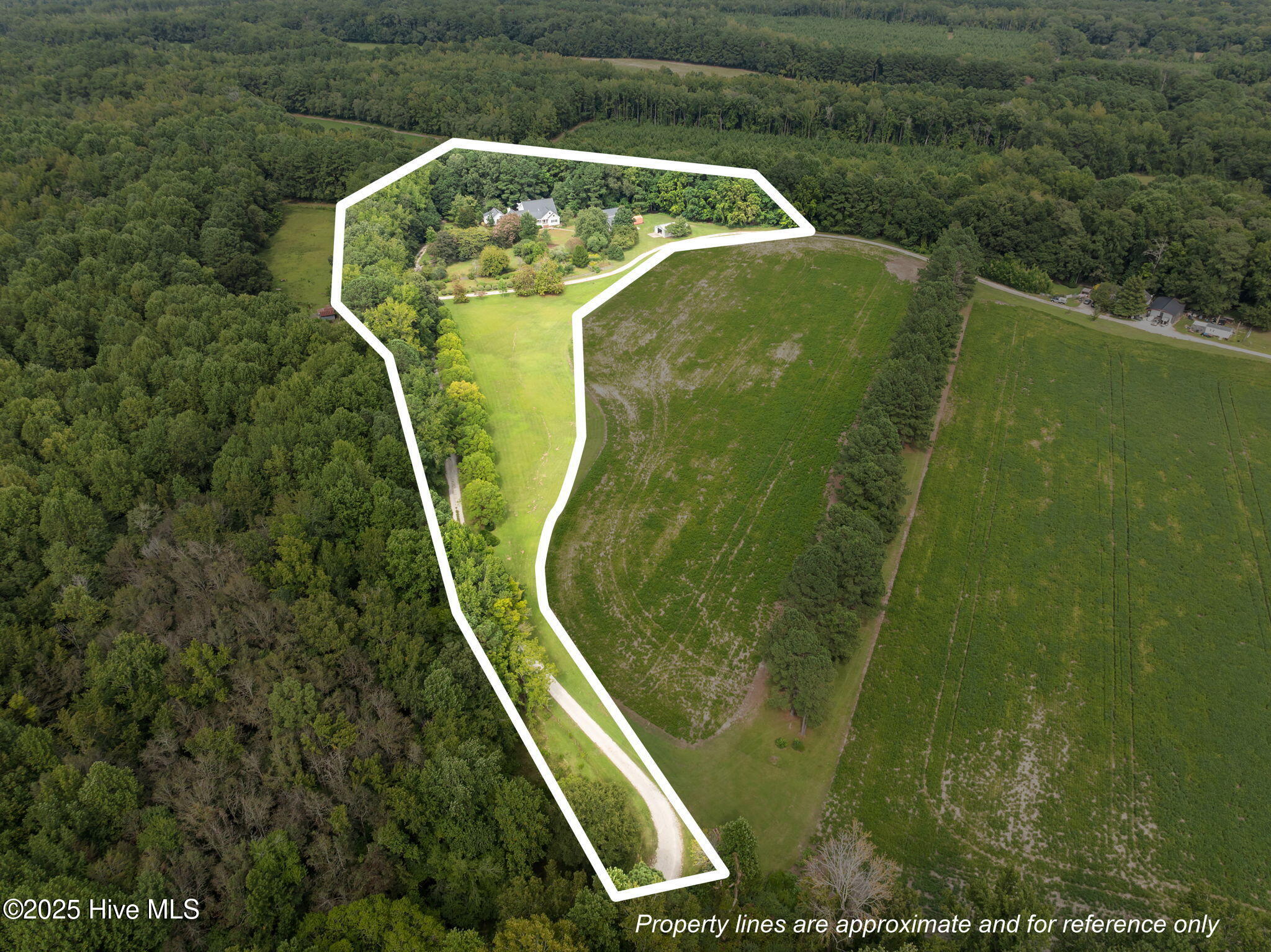 7464 Highway 43 Macclesfield, NC 27852 - Photo 76 of 76 76-web-or-mls-DJI_0885_1