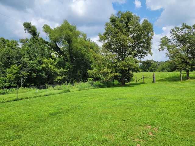 2035 Mt Hebron Road Makanda, IL 62958 - Photo 29 of 44