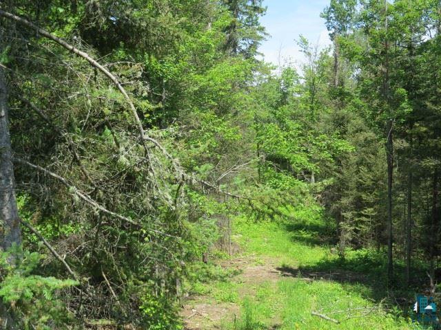 13855 Outback Road Ely, MN 55731 - Photo 18 of 18