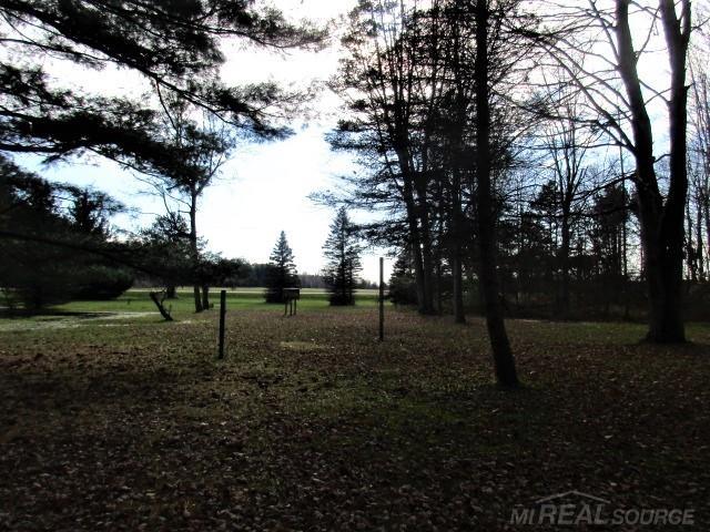 3931 Applegate Road Applegate, MI 48401 - Photo 15 of 17