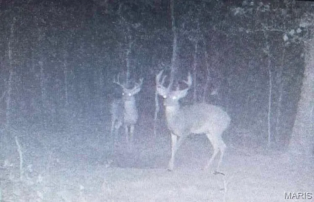 $335,000 | 14559 Hunter Lane, Winona, MO 65588