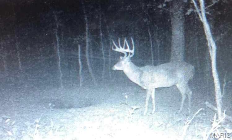 14559 Hunter Lane Winona, MO 65588 - Photo 20 of 31