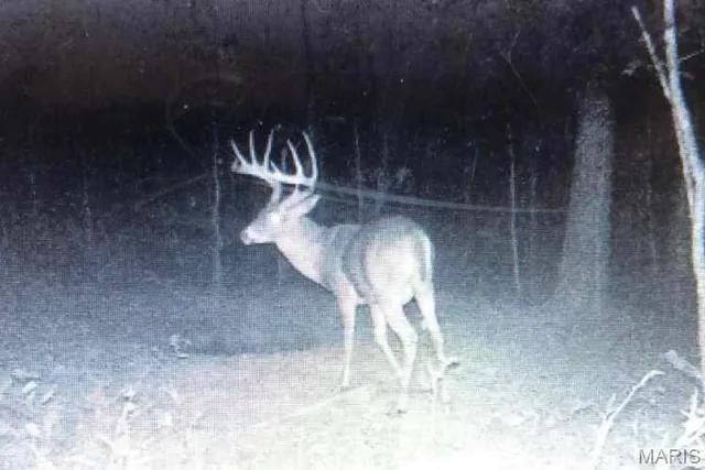 $335,000 | 14559 Hunter Lane, Winona, MO 65588