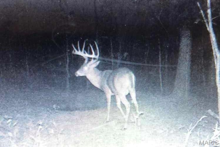 14559 Hunter Lane Winona, MO 65588 - Photo 21 of 31