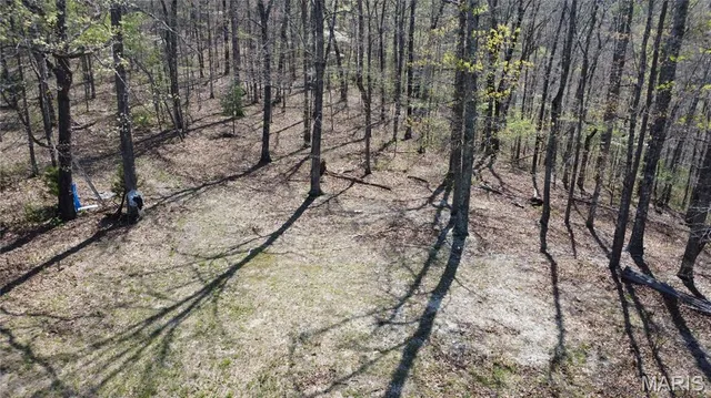 $335,000 | 14559 Hunter Lane, Winona, MO 65588