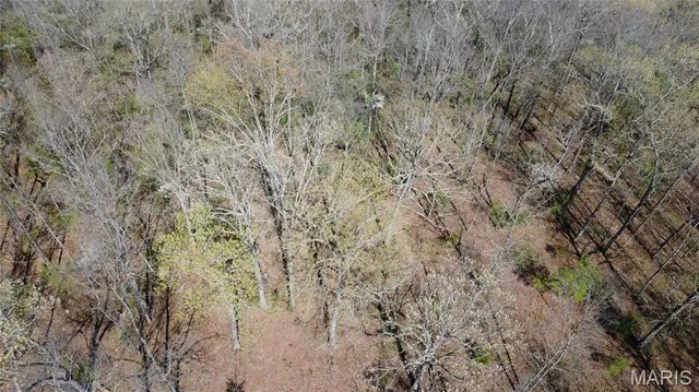 $335,000 | 14559 Hunter Lane, Winona, MO 65588